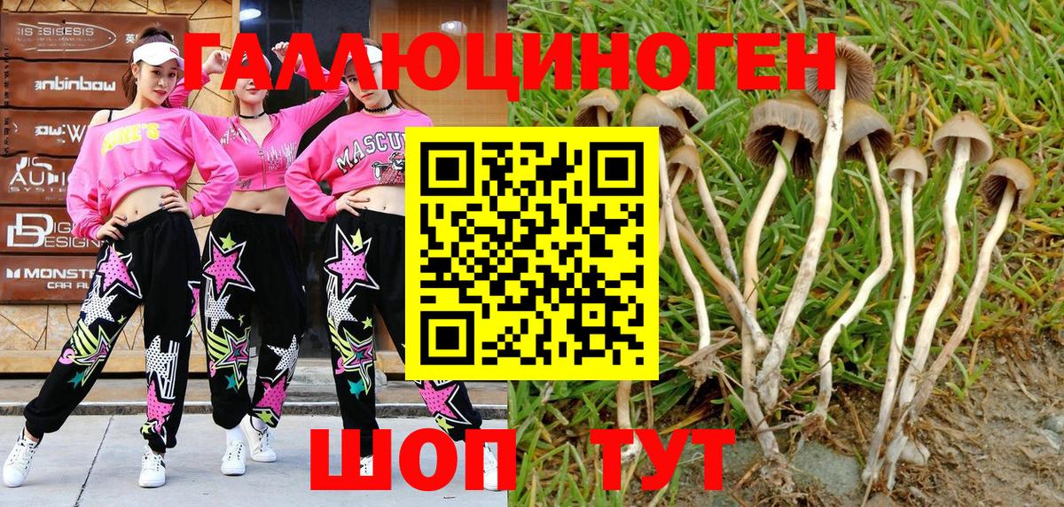 Псилоцибиновые грибы мухоморы  Псилоцибиновые грибы Psilocybe  Мичуринск  Вход с VPN 